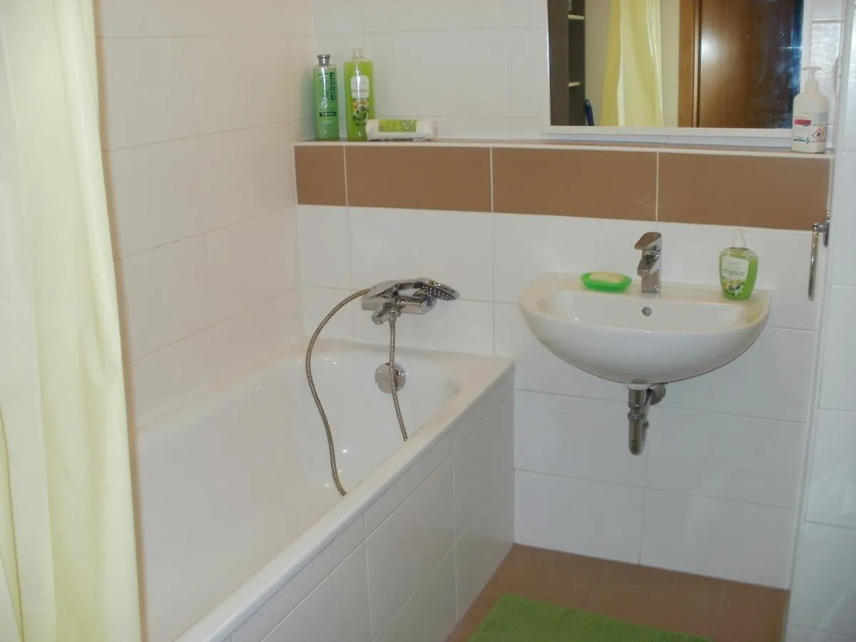Garden Apartment With Garage In Central Prague
